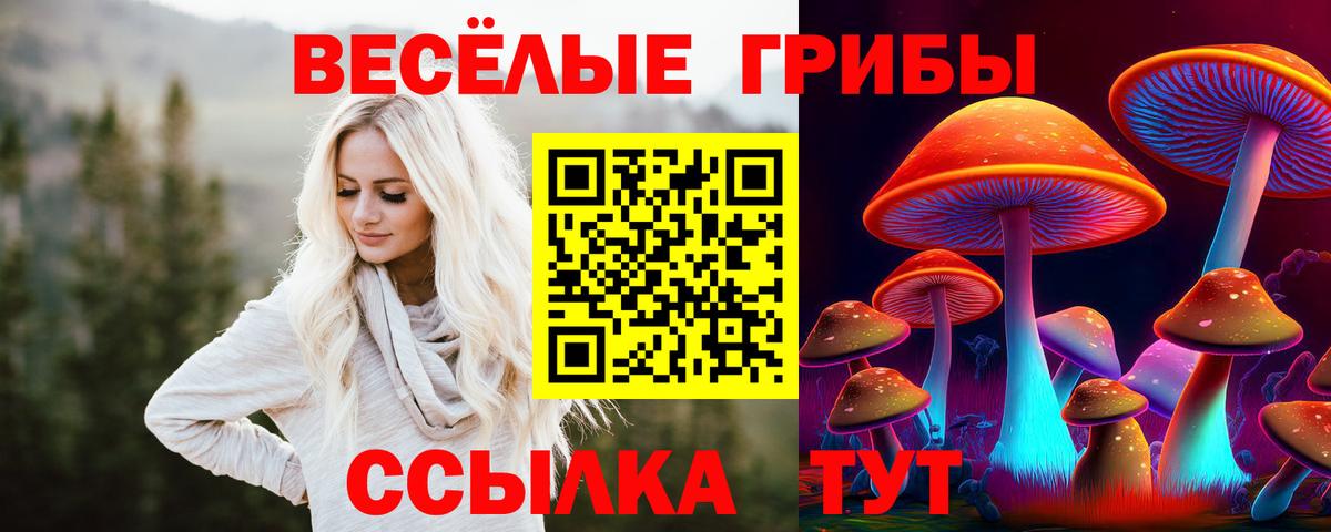 цена наркотик  Псилоцибиновые грибы Psilocybine cubensis  Вход с VPN  Самара 
